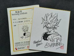 61ZbXCyNclL Fake mandarake certificate