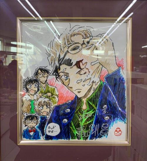 u=942446354,3884631676&fm=253&app=138&f=JPEG 