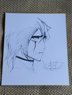 hand-drawn-Kubo-Taito-BLEACH-autographed-Shikishi-Card-Art-Board-limited-122020D